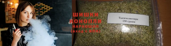 ПСИЛОЦИБИНОВЫЕ ГРИБЫ Медногорск